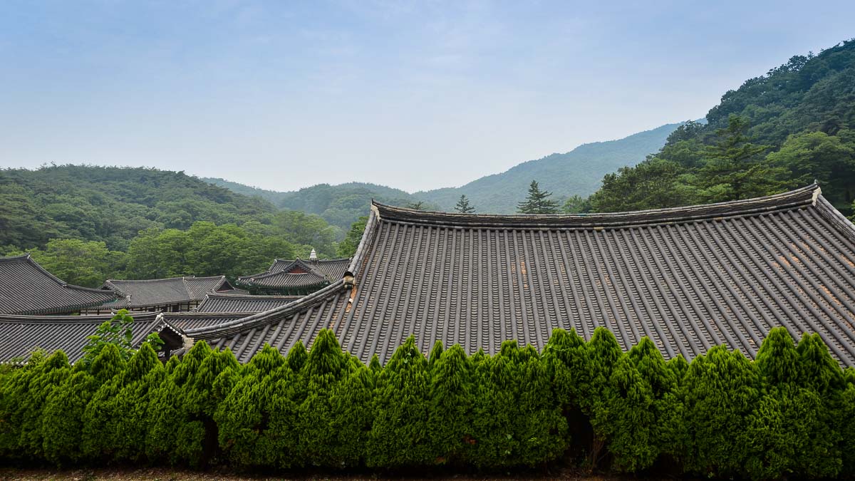 Bridge to Paradise: A Korean Temple Stay at Magoksa
