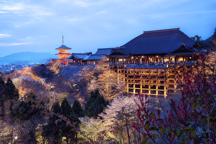 Kiyomizu-dera, Peter DeMarco, blossoms, blue hour, cherry, japan, kyoto, night, photography, temple, tips, travel, tutorials